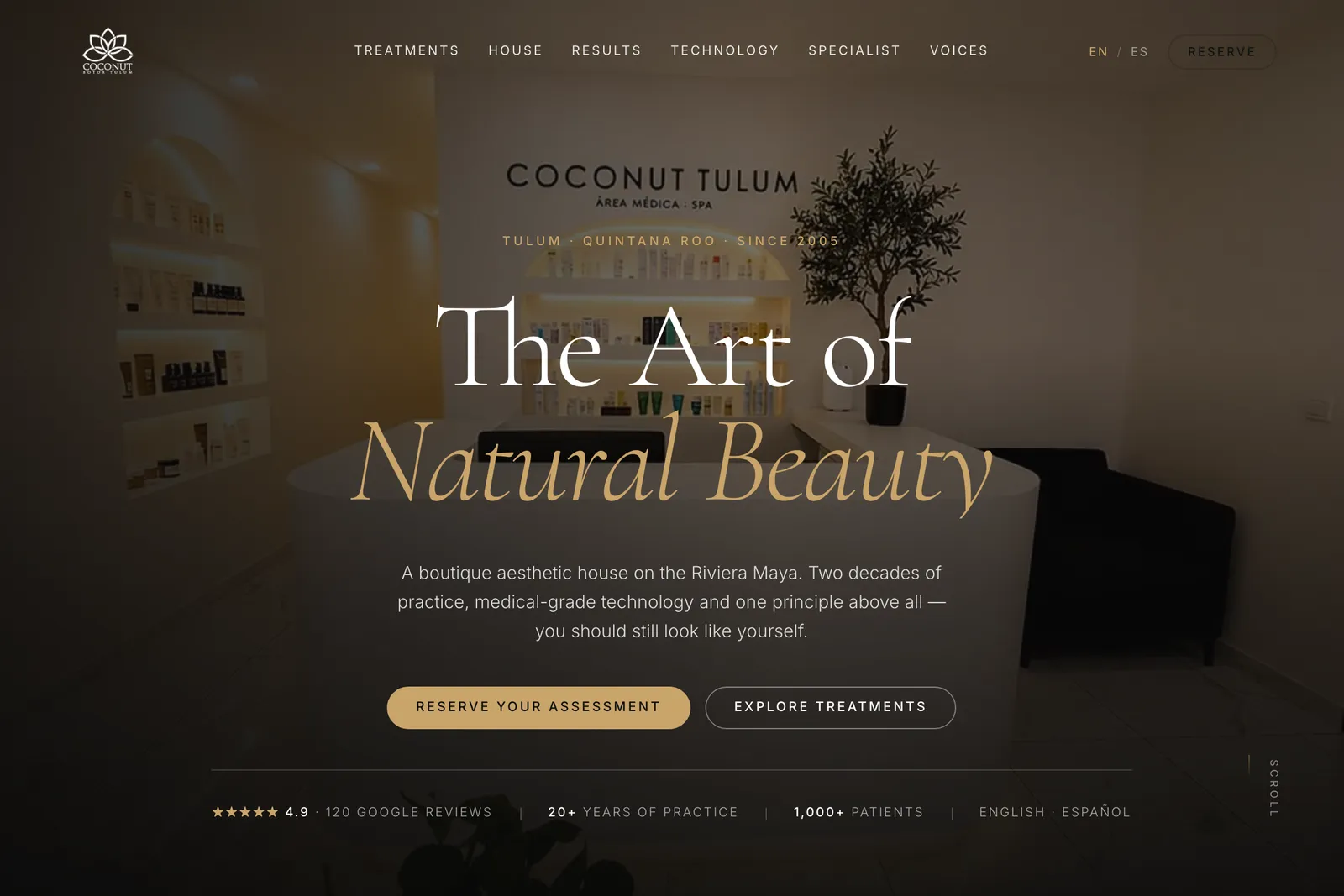 Vista de escritorio de Coconut Botox Tulum